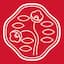 Shiseido Logo