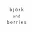 Björk and Berries Logo