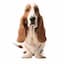 Hush Puppies Logo